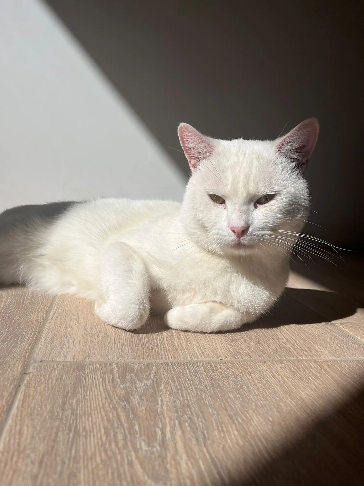 Casper, Européen