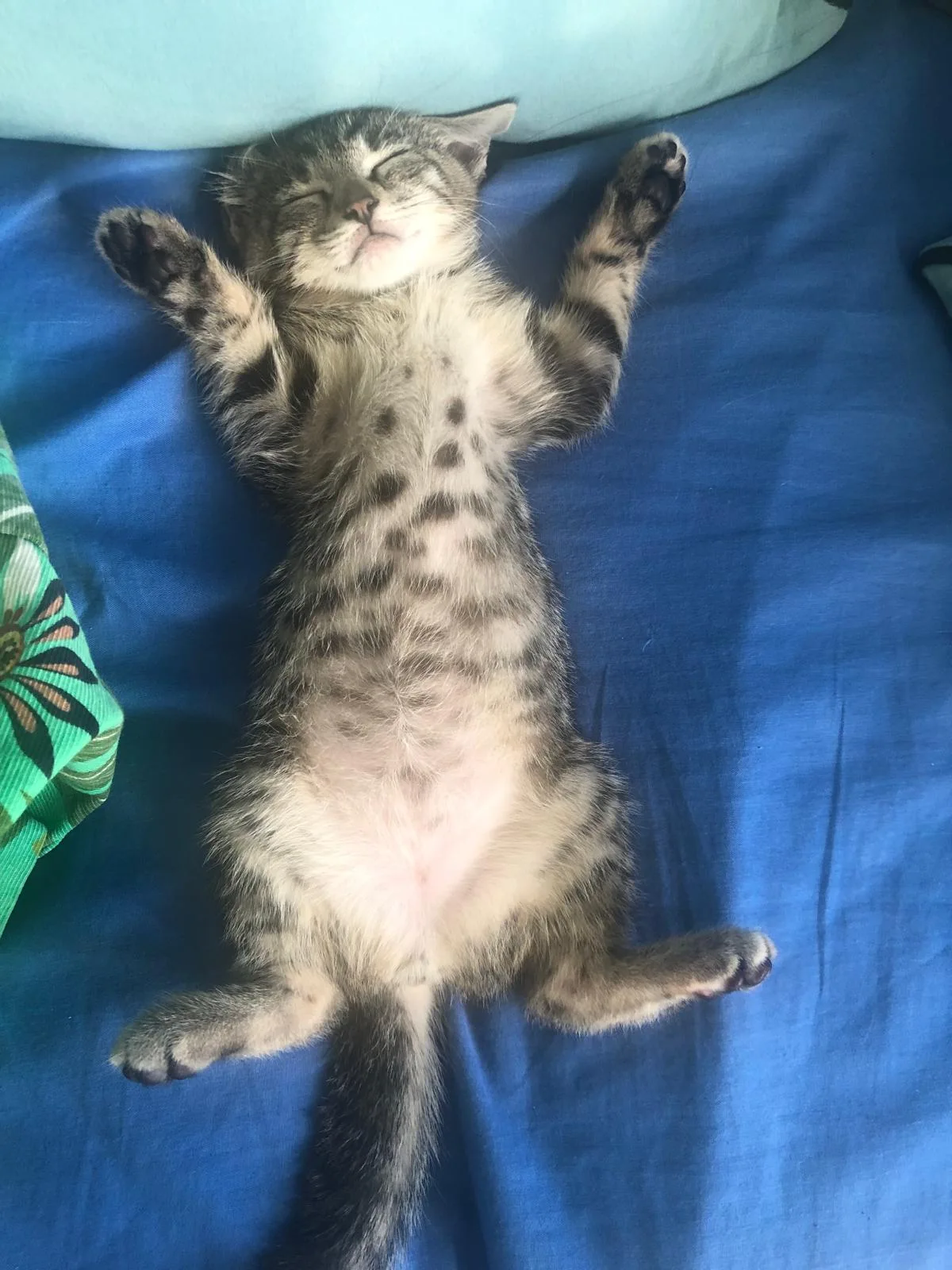 Yumi, Européen