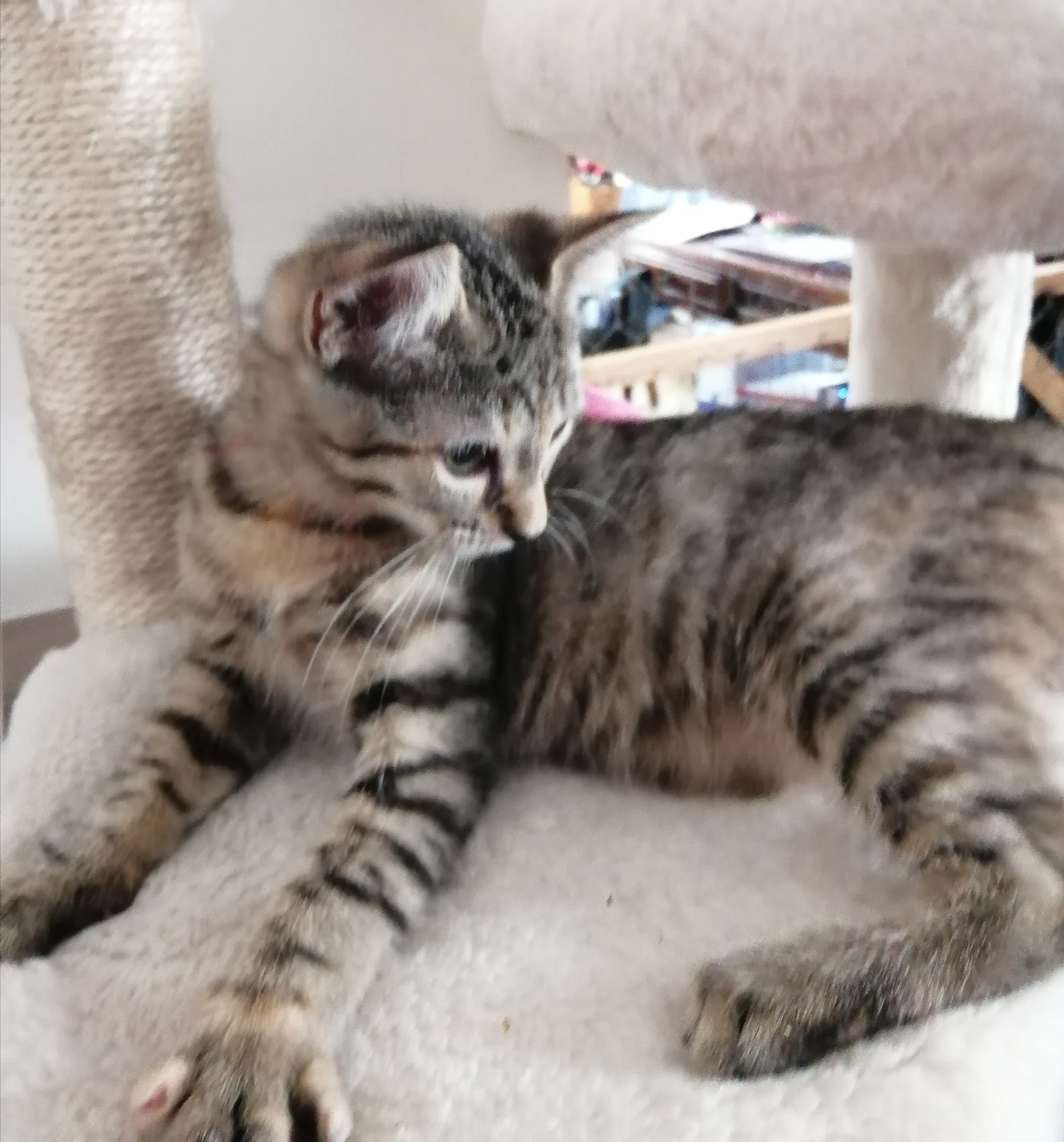 KIRA